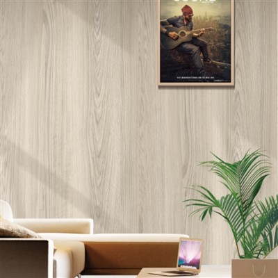 Ανθεκτική στις καιρικές συνθήκες Επένδυση τοίχων από πολυ ξύλο